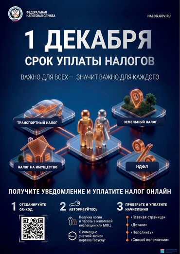 1 декабря срок уплаты налогов